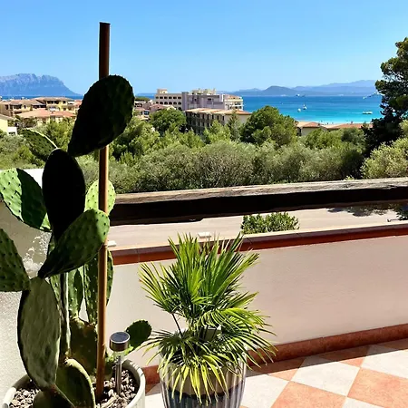 Appartement Figari *